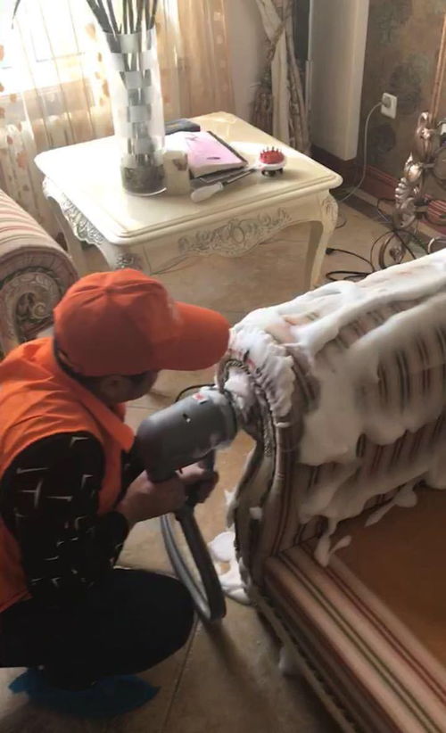 圖 西安新城專(zhuān)業(yè)保潔公司電話 專(zhuān)業(yè)清洗團(tuán)隊(duì)公司 服務(wù)踏實(shí),真情奉獻(xiàn) 西安保潔清洗